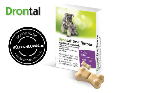 Čtyřnozí mazlíčci našich testerek otestovali tablety na odčervení Drontal Dog Flavour. Podívejte se, co na tablety říkají 