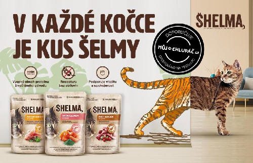 Jak dopadlo testování dušených filetek Shelma s treskou a
spirulinou a hovězí s rajčaty? Mrkněte na recenze kočičích mlsných jazýčků 